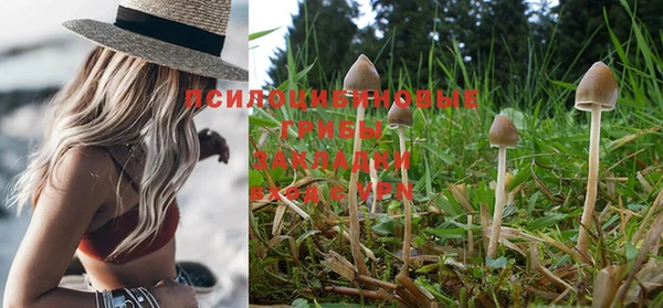 прущий лед Киренск