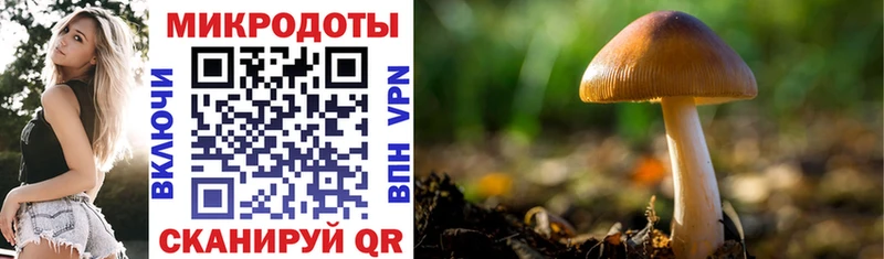 Псилоцибиновые грибы прущие грибы  Купить где  Фокино 